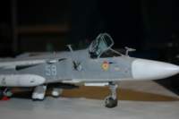 dsc_0437_small.jpg