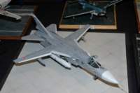 dsc_0438_small.jpg