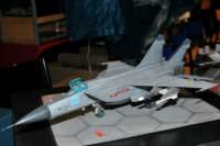 dsc_0441_small.jpg