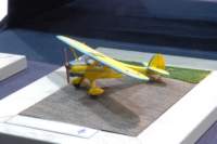 dsc_0532_small.jpg