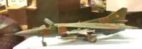 dsc_0560_small.jpg