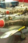 dsc_0561_small.jpg